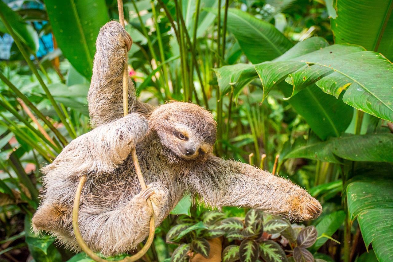 The Goddess Garden Eco-Resort カウイータ エクステリア 写真