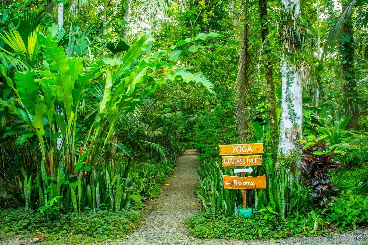 The Goddess Garden Eco-Resort カウイータ エクステリア 写真